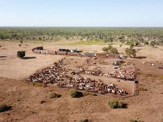 Sprawling Pastoral Property For Sale Northern Territory
