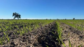 Production Powerhouse For Sale In Prized Region Of NSW