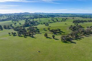 For Sale: Prime Livestock + Mixed Farming Opportunity