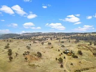 Well-Rounded Lamb, Beef Breeding Property For Sale TAS