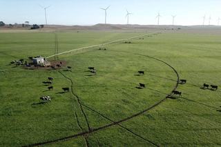 Exceptional Rural Property For Sale SA Suited To Beef, Lamb