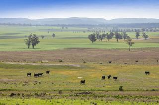 Lifestyle Farm For Sale NSW With Strategic Optionality