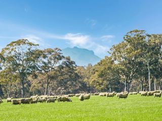Exceptional Farm For Sale VIC Western Districts