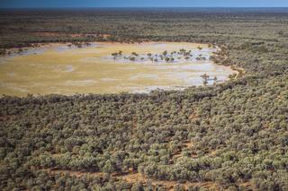 Low-Cost, Drought-Proof Cattle Breeding Property For Sale QLD