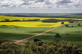 Highly Regarded Mixed Farm For Sale WA Mid-West