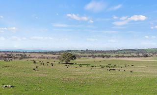 Productive Grazing Property For Sale With Renewable Energy Upside