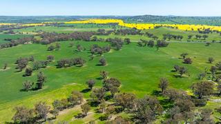 Historic Cattle Property For Sale Boasts Secure Water + Quality Infrastructure