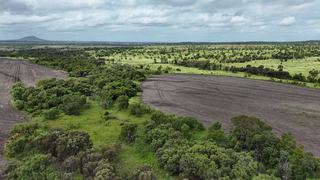 Large Scale Mixed Farm For Sale Central QLD