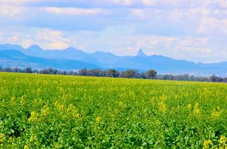 Farming Powerhouse For Sale NSW Central West