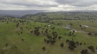 Substantial, Highly Functional Cattle Property For Sale In Tightly Held District