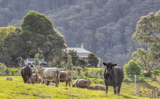 Stunning Historic Rural Property For Sale NSW South Coast