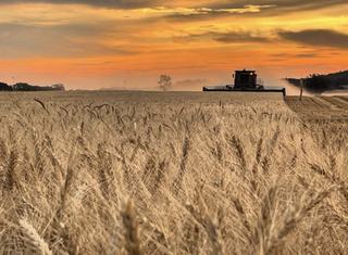 Kinsela Agriculture’s Next Chapter Awaits