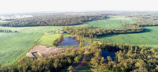 Excellent Breeder + Fattening Cattle Property For Sale QLD