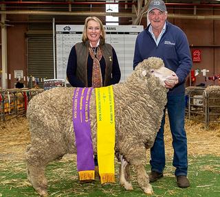 Livestock Listing - Trefusis 41st Annual Merino & Poll Ram Sale