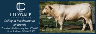 Livestock Listing - Rockhampton All Breeds sale