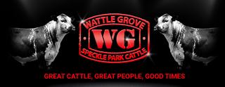 Livestock Listing - Wattle Grove Annual Sale