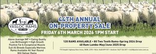 Livestock Listing - Yasloc Rams - 44th Annual On- Property Sale