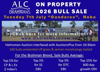 Livestock Listing - ALC On-Property 2026 Bull Sale