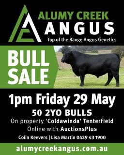 Livestock Listing - 2026 ALUMY CREEK ANGUS BULL SALE