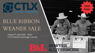 Livestock Listing - CTLX Central Tablelands Livestock Agents Association Blue Ribbon Weaner Sale