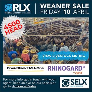 Livestock Listing - South Eastern Livestock Exchange Weaner Sale – 4,500 Head Cattle