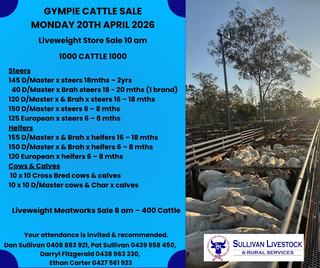 Livestock Listing - Sullivan Livestock & Rural Services Gympie Liveweight Store Cattle Sale 1000 Cattle