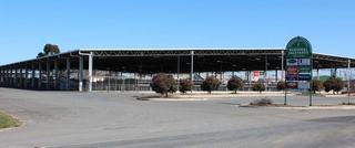 Livestock Listing - Mulcahy Livestock Shepparton Store Cattle Sale 800 Cattle