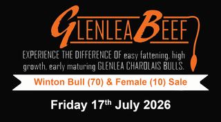 Livestock Listing - Glenlea Beef Winton Bull & Female Sale — 80 Head Charolais Cattle