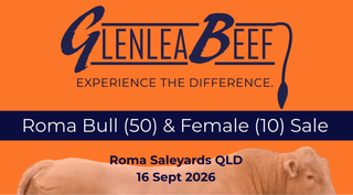 Livestock Listing - Glenlea Beef Roma Bull & Female Sale — 50 Charolais Bulls plus 20 Feature Females selling “Pick the Pair”
