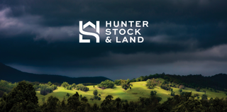 Livestock Listing - TLA Tamworth Feature Weaner & Store Cattle Sale – 6,000 Head Cattle