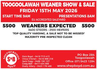 Livestock Listing - Shepherdson & Boyd Toogoolawah Weaner Show & Sale – 5,500 Head