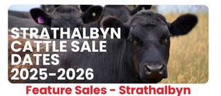 Livestock Listing - Strathalbyn Feature Cattle Sale – 1,000 Head Cattle