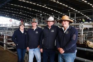 Livestock Listing - VC Reid Smith Livestock Forbes Stud Pig Sale & Youth Show — Stud Boars & Gilts