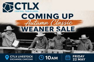 Livestock Listing - CTLX Carcoar Autumn Classic — 6,000 Head Weaner Cattle Sale