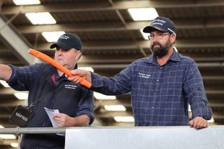 Livestock Listing - EVLX Leongatha Store Sale — 2,500 Cattle