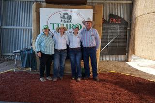 Livestock Listing - Truro Whiteface 2026 Spring Sale