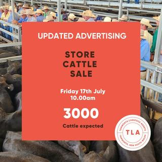 Livestock Listing - Tamworth Livestock Agents Store Sale – 3,000 Head Cattle
