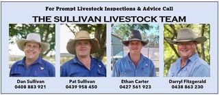 Livestock Listing - Gympie Cattle Sale – 1,350 Head Store & Meatworks Cattle