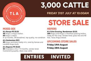 Livestock Listing - Tamworth Livestock Agents Store Sale – 3,000 Head Cattle