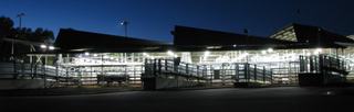Livestock Listing - East Gippsland Livestock Exchange Bairnsdale Store Cattle Sale – 1,500