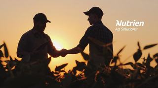 Livestock Listing - Nutrien Hillston Store Sheep Sale – 3,920 Merino Ewes