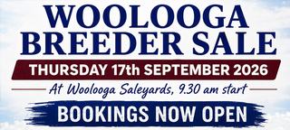 Livestock Listing - WOOLOOGA FEMALE BREEDER SALE - THURSDAY 17th SEPTEMBER 2026