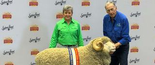 Livestock Listing - Pomanara Merino Stud Ram Sale