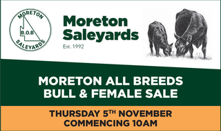 Livestock Listing - Moreton All Breeds Bull & Female Sale