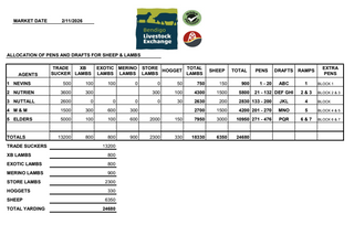 Livestock Listing - Bendigo Livestock Exchange Weekly Sheep & Lamb Sale - 24,680 head
