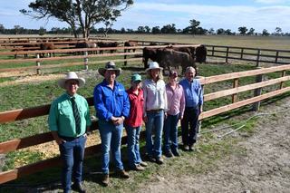 Brilliant Belmore Shorthorn bull sale boosted by big pastoral orders