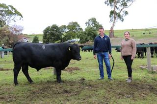 Tasmania's Landfall Angus records mega $2.6m sale with near total clearance
