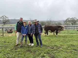 Loyal buyers push Karoonda Hereford stud average up by $1821 year-on-year