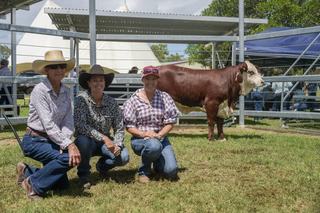 Average prices lift 51 per cent at Gayndah's Elite Braford Breeders Sale