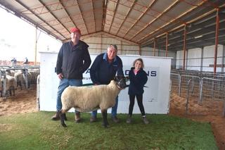 Bidders chase rare buying opportunities at Bundara Downs Suffolk dispersal